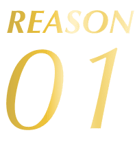 REASON 01