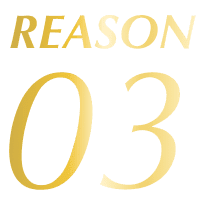 REASON 03